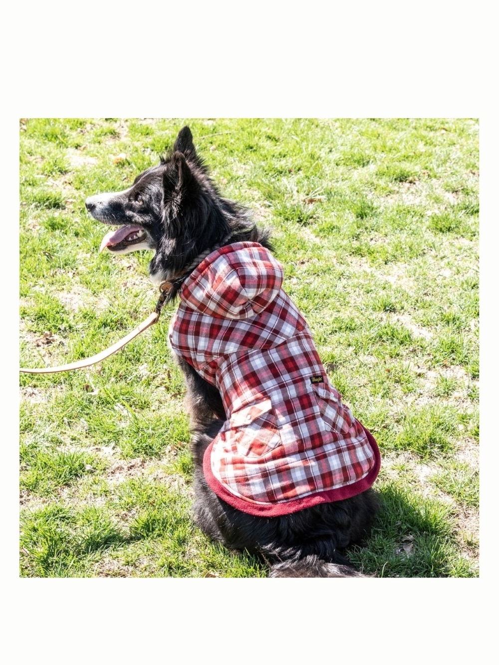Wrangler Red Plaid Hooded Dog Coat